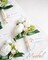 6-Piece White Boutonniere Set – Realistic Ranunculus & Pearl Corsages with Gold Pins for Groom, Groomsmen, Prom, Wedding, Homecoming, Anniversary, Formal Suits